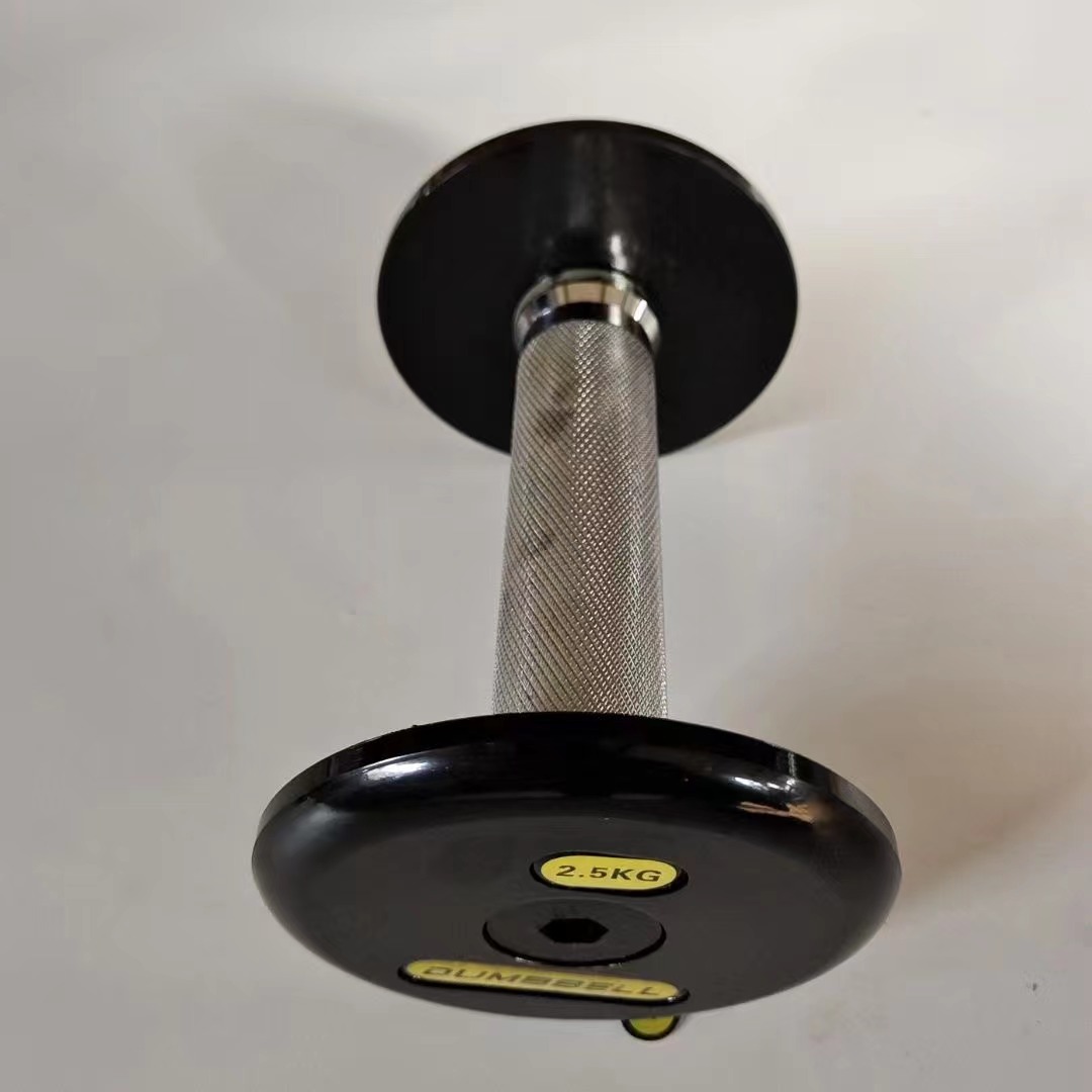 Flat-headed Painted Dumbbell