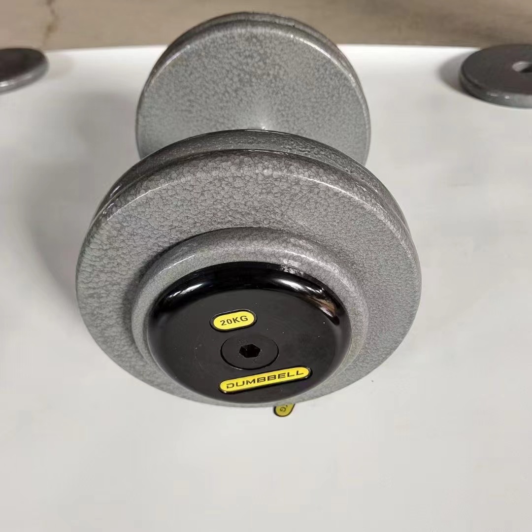 Flat-headed Painted Dumbbell