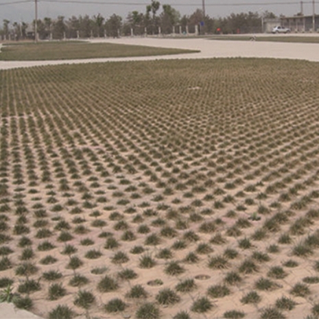 PLANTING GRASS BRICK