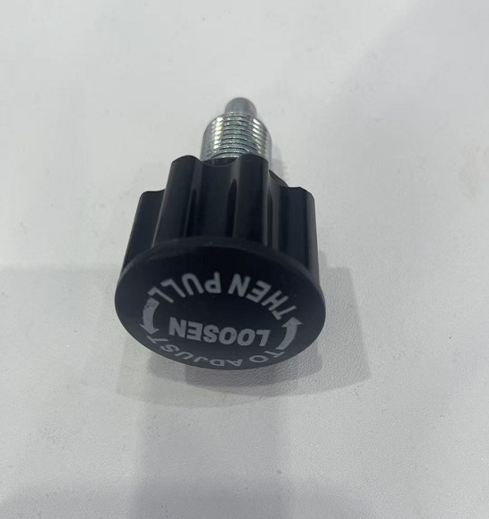 Plug